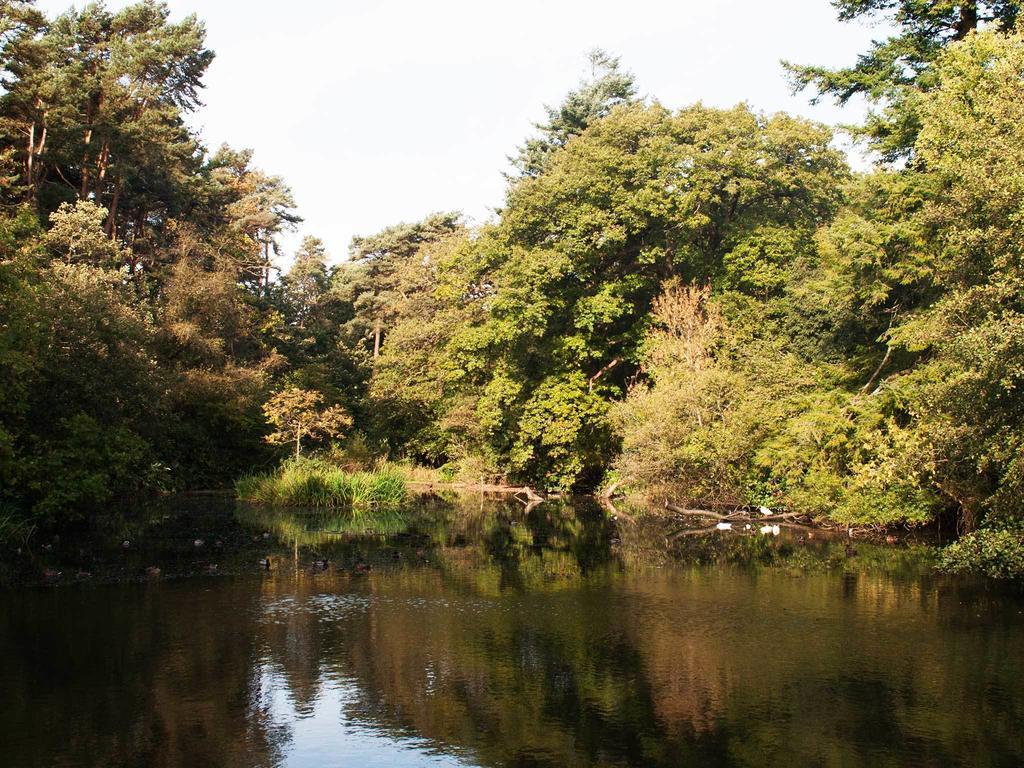 Bryngarw House Hotell Bridgend  Eksteriør bilde